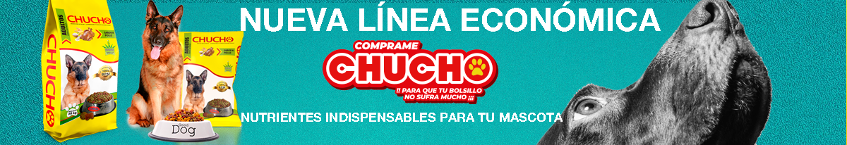 alimento solido caninos