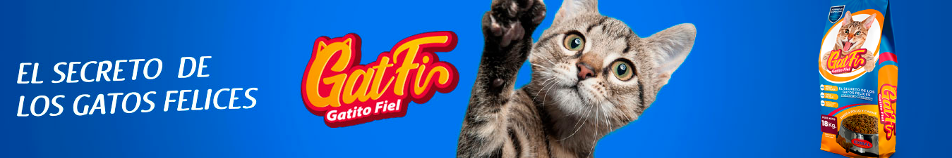 alimento solido felinos alimento solido felinos